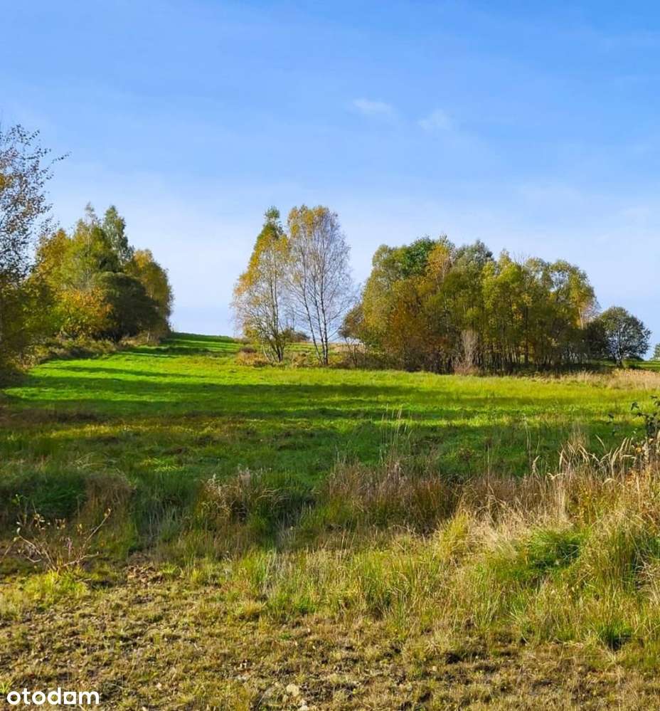 Jeleśnia - działka budowlana - Pełny obrazek: 4/5