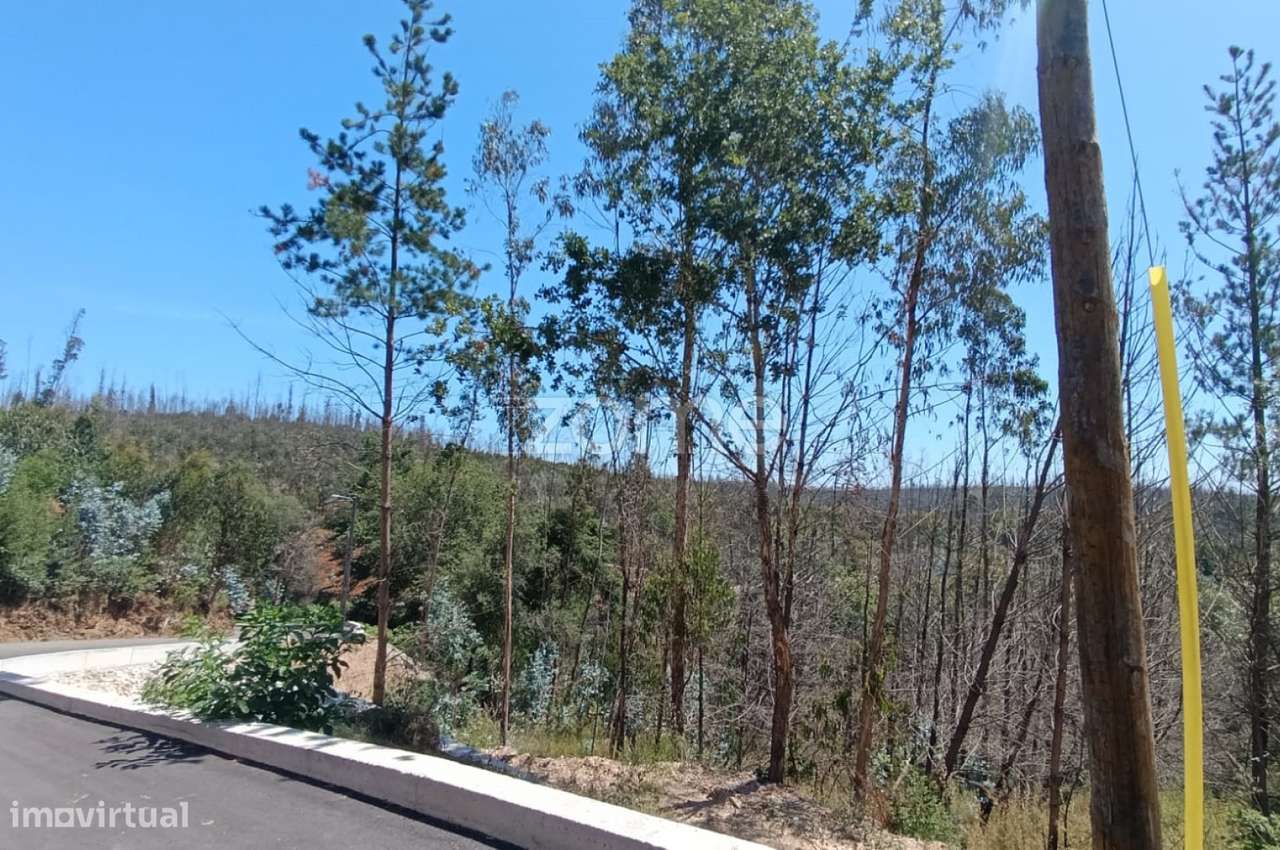 Terreno 1.412 m² | Construção, Habitação ou Indústria | Angeja-5