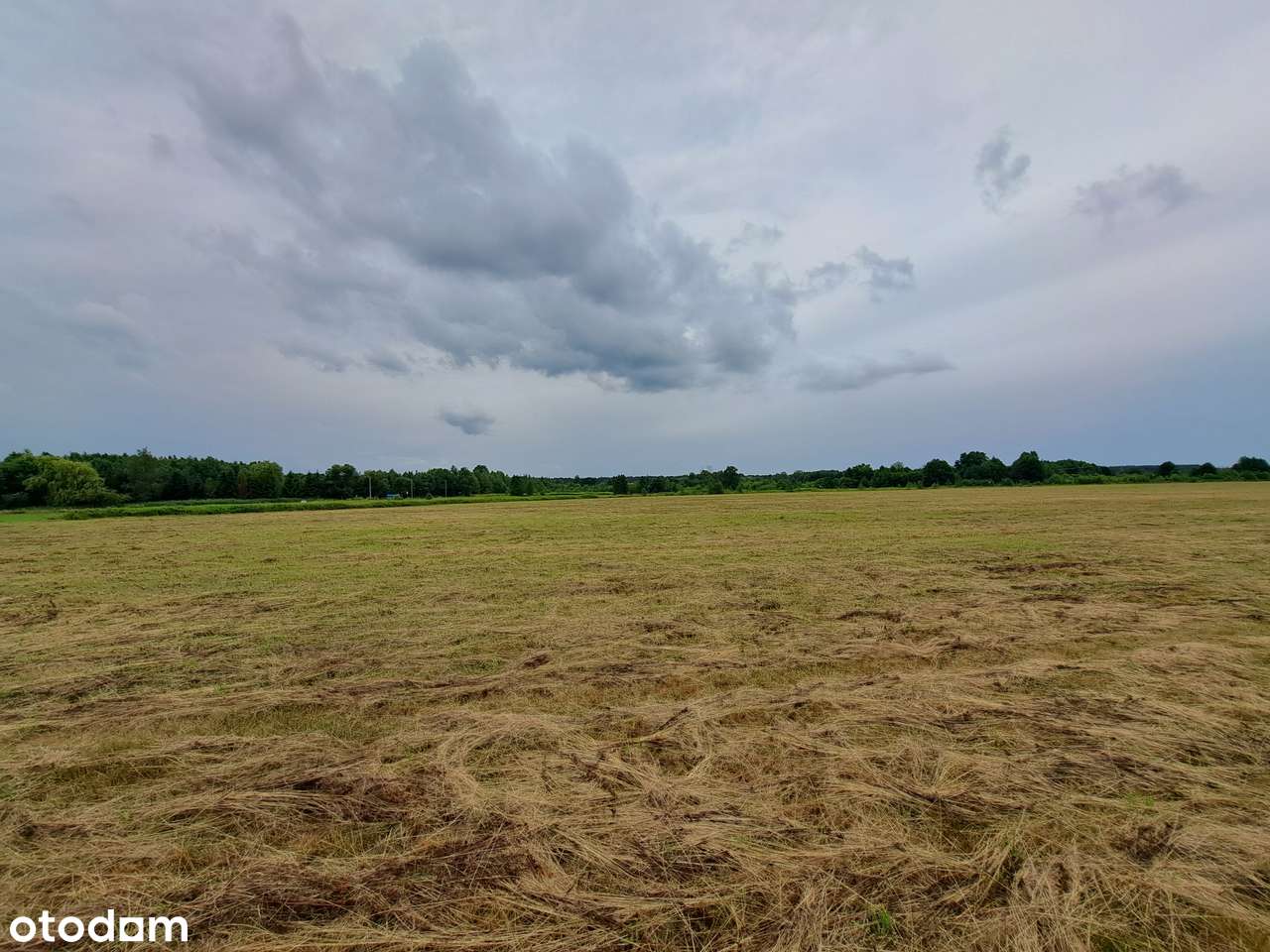 Twoja działka pod Wrocławiem – Złotów, gmina Zawonia - Pełny obrazek: 4/12