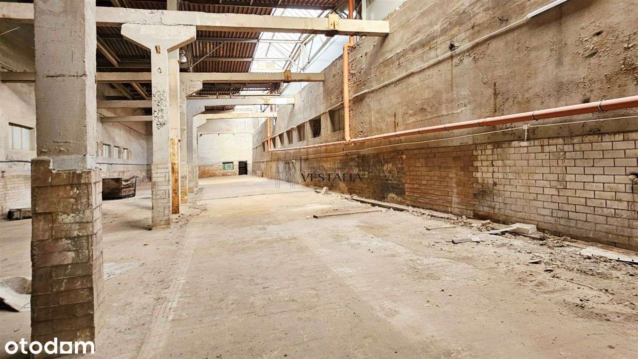 Hala Produkcyjno-Magazynowa Olkusz-6