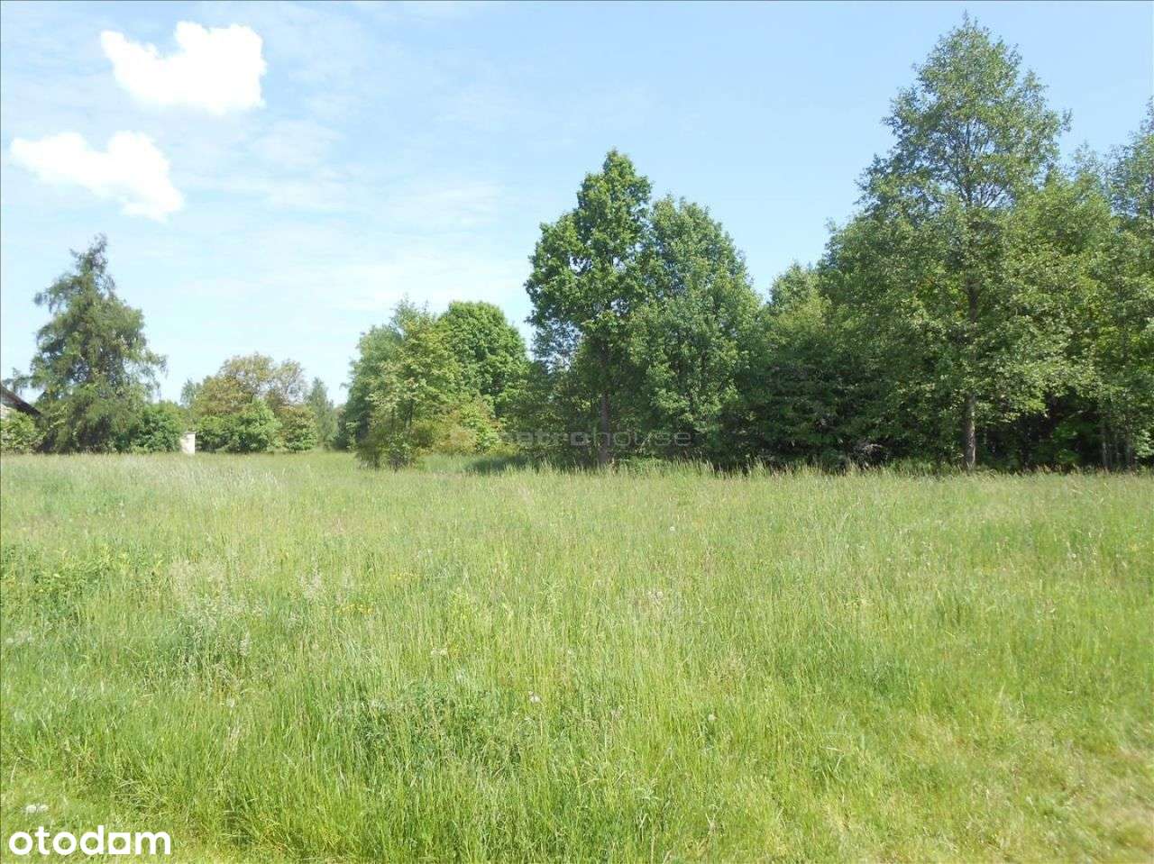 Działka z kanalizacją, media, szkoła, sklepy, Pkp - Pełny obrazek: 4/5