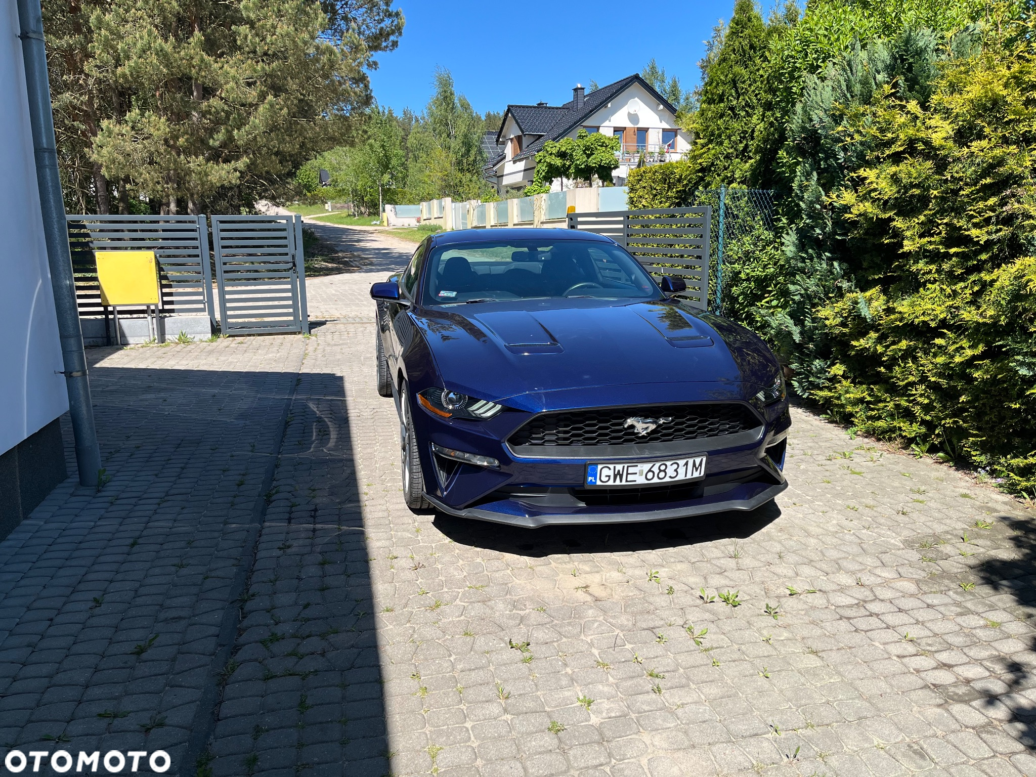 Ford Mustang 2.3 EcoBoost - 6