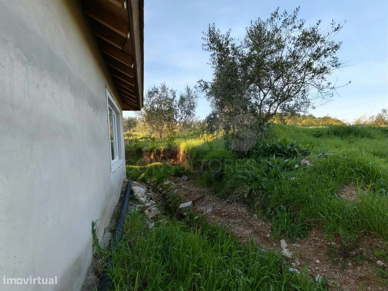 Moradia T2+1 c/ Anexo & Armazém em Lote de 7.600m2-30