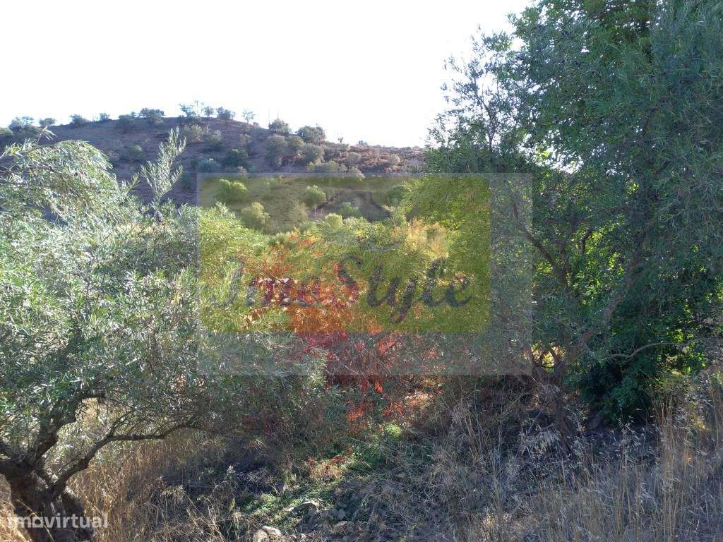 Terreno rustico em Guerreiros do Rio - Grande imagem: 3/9