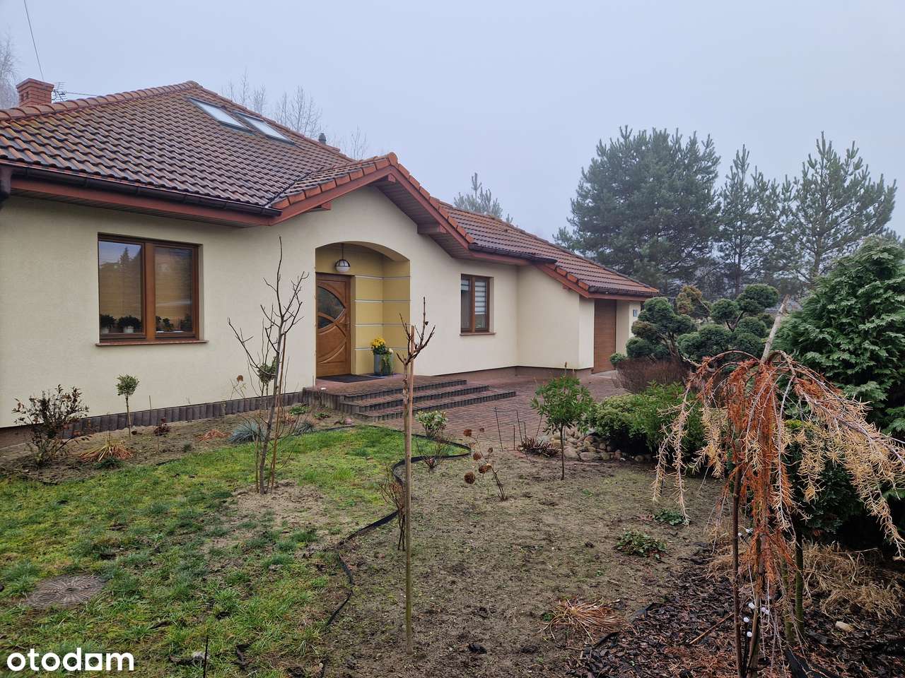 Dom jednorodzinny - Pełny obrazek: 5/6