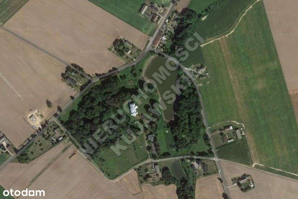 Zabytkowy pałac, park, 2 stawy, Więsławice-Parcele - Pełny obrazek: 4/14