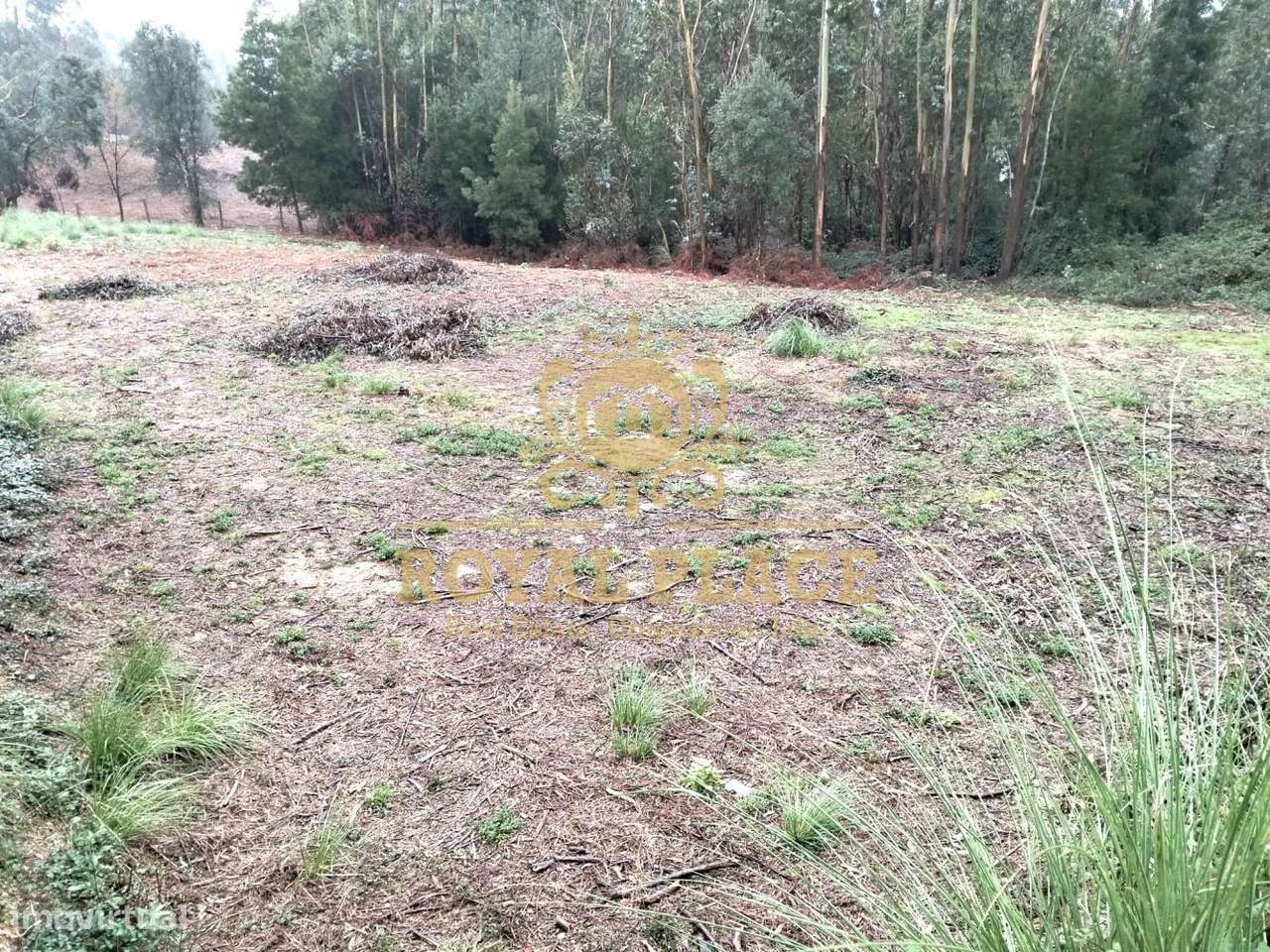 Terreno com 600m2 em Sanfins, Santa Maria da Feira - Grande imagem: 5/7