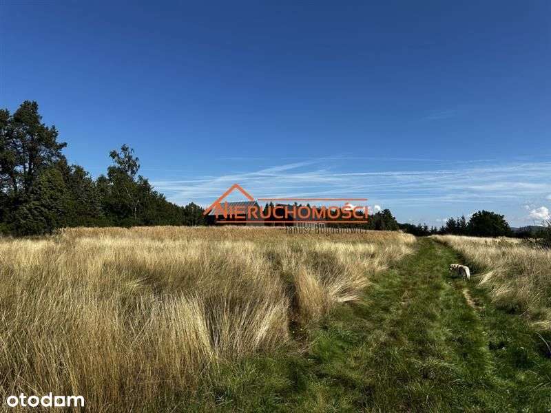 Działki w Rogówku z pięknym widokiem na pasma gór-12