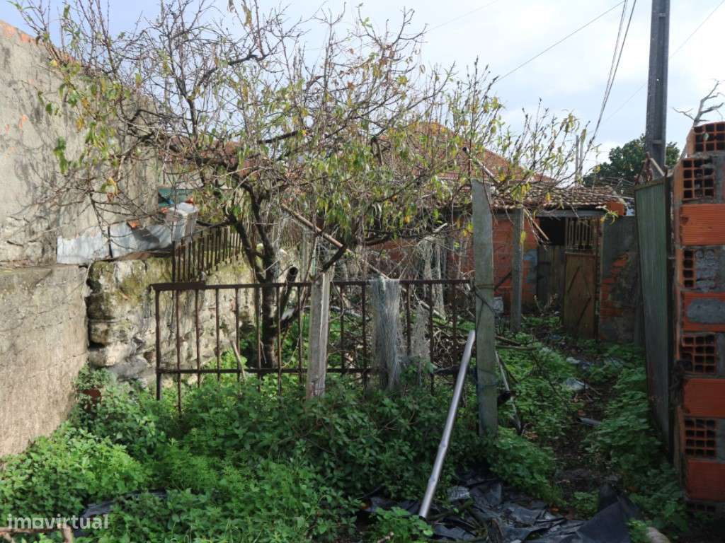 DOIS ARTIGOS - MURTOSA-10