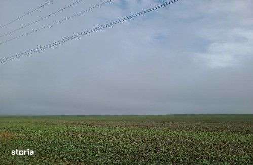 Teren extravilan Orbeasca, ID: R2836912-7