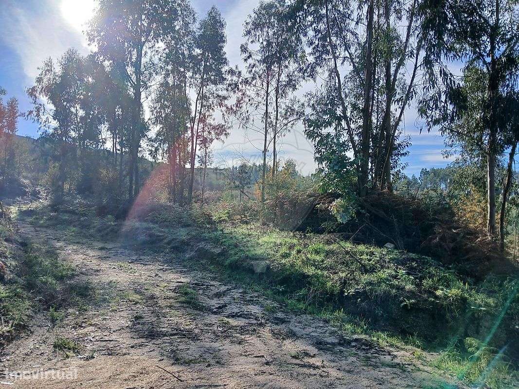 Terreno  para venda - Grande imagem: 5/7