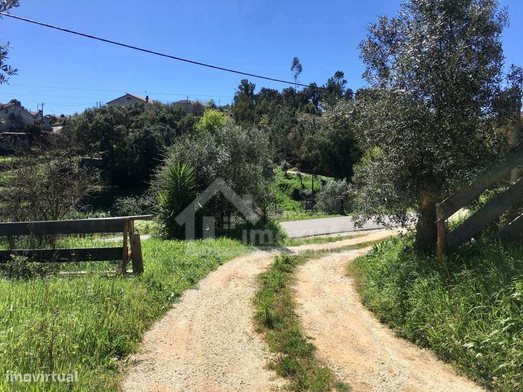 Casa em Pedra renovada em Figueiró dos Vinhos - Grande imagem: 5/58