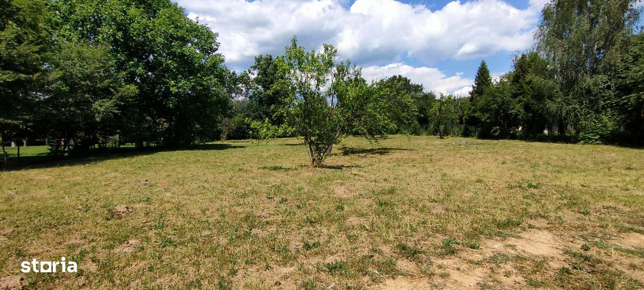 Comarnic(Ph) – doua terenuri cu toate utilitatile, asfalt, padure-1