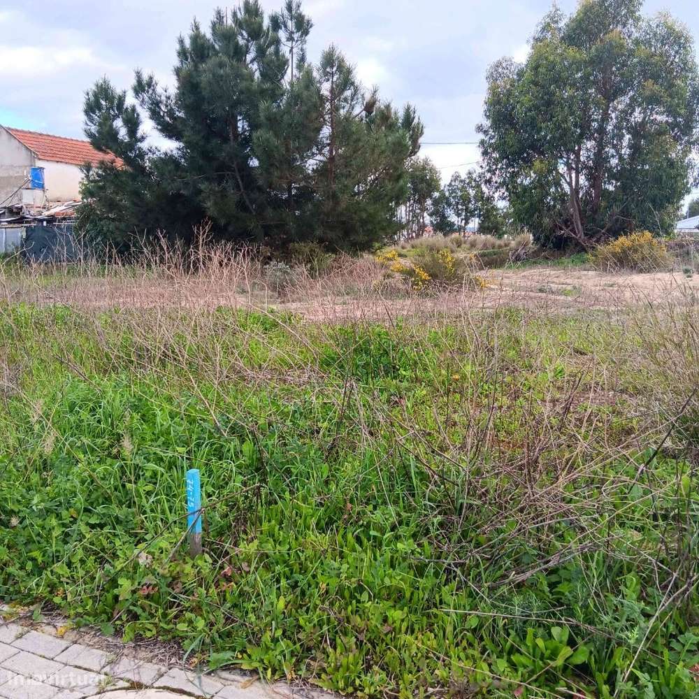 Terreno de 297m² em zona rural com acesso fácil - Grande imagem: 5/11