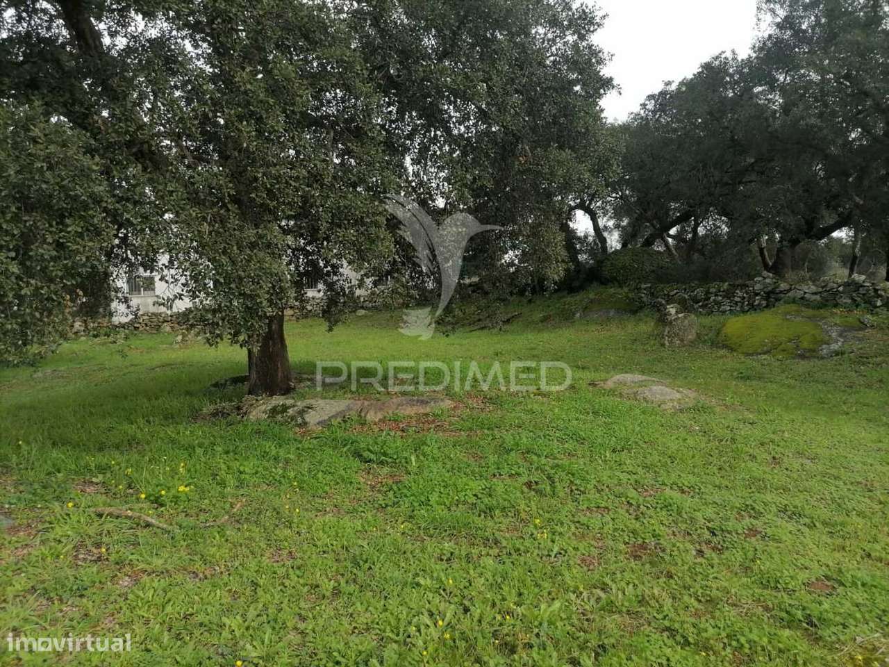 terreno para construir - Grande imagem: 5/7