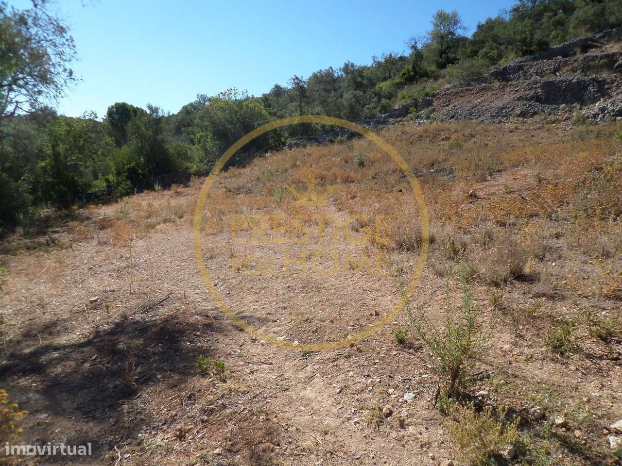 Terreno, 1 410 m², Boliqueime-8