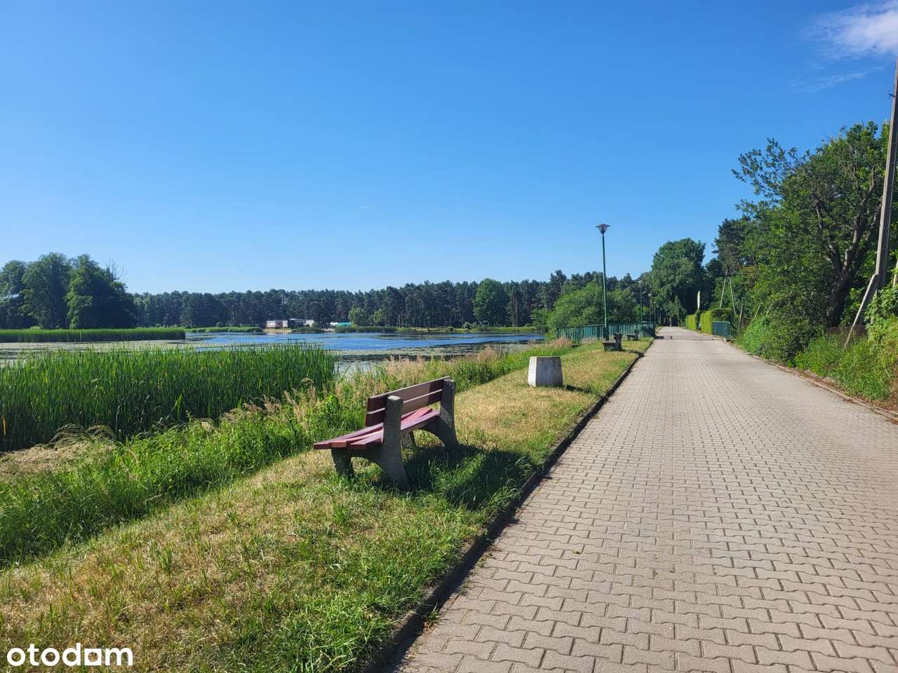 Duża, atrakcyjna działka w malowniczej dzielnicy Kalet - Zielonej.-6