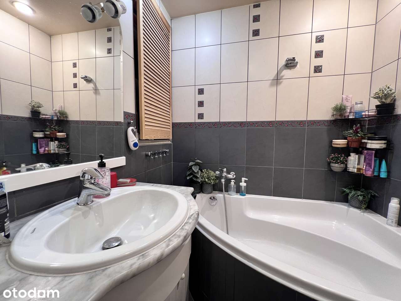 4 pokoje+balkon Piekary C-17