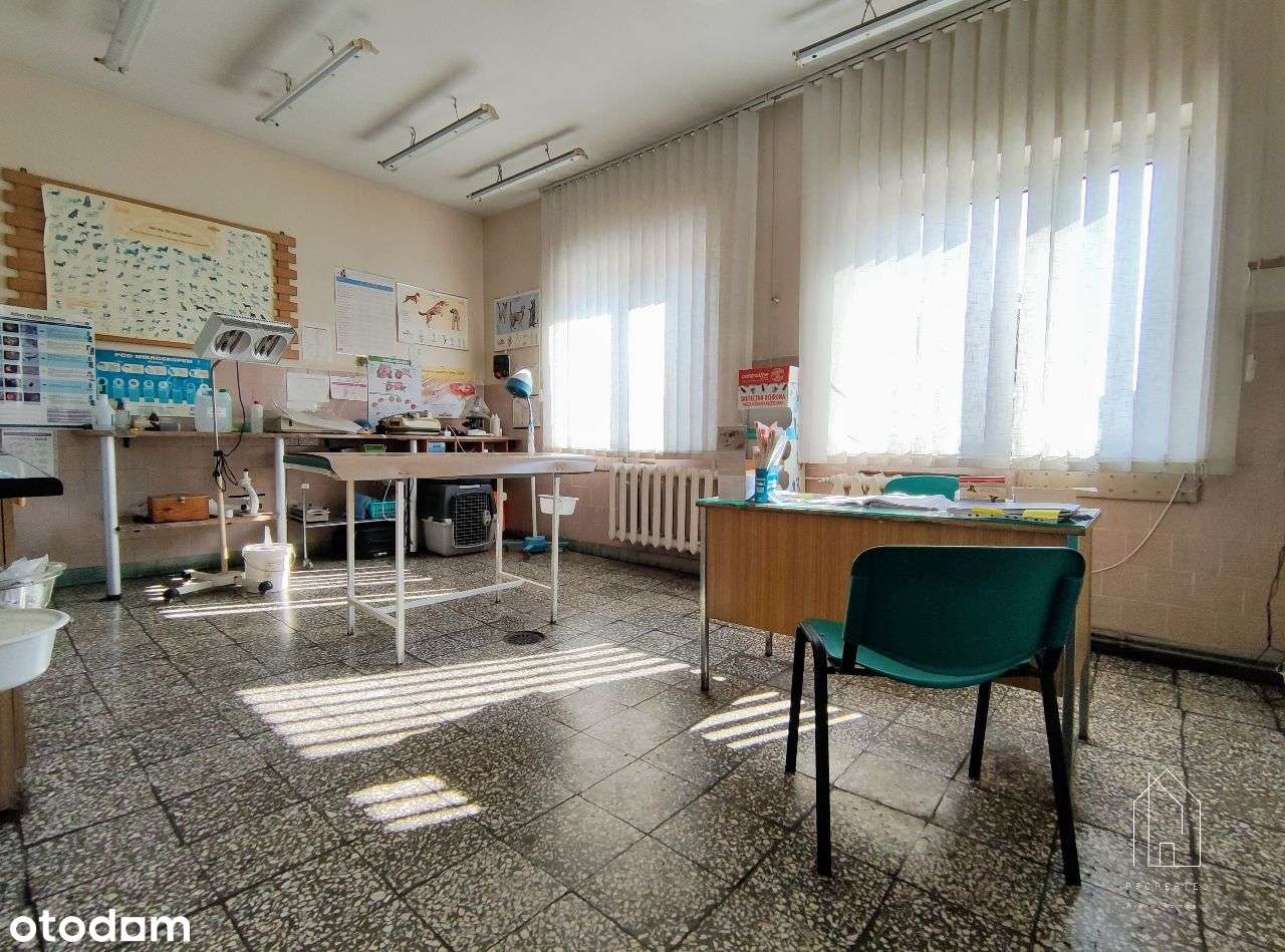 Lokal usługowy 130 m² - przychodnia weterynaryjna-6
