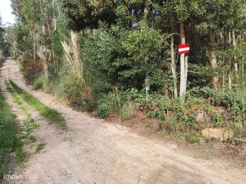 Terreno em área urbana - Grande imagem: 2/10