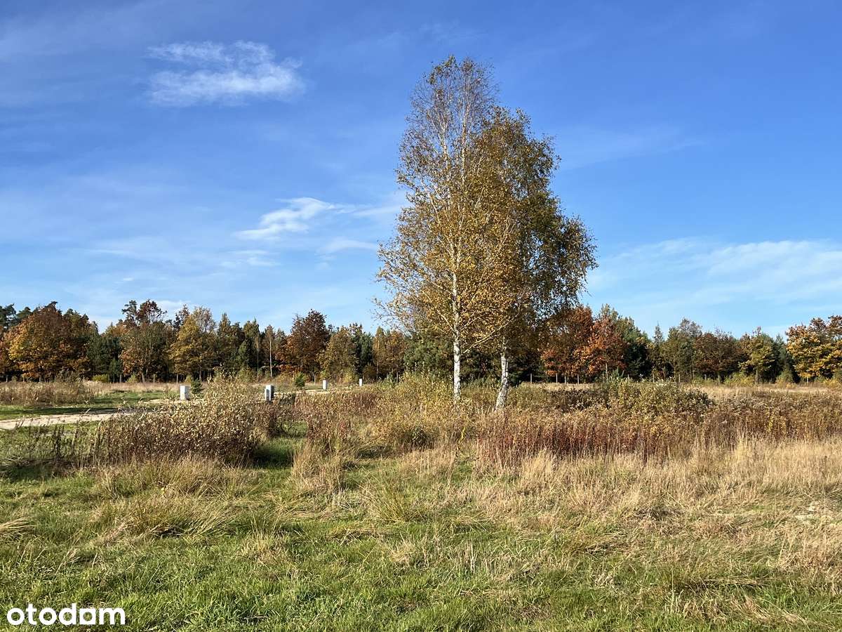 "LEŚNY ZAKĄTEK" - Olszyna koło Herb-10