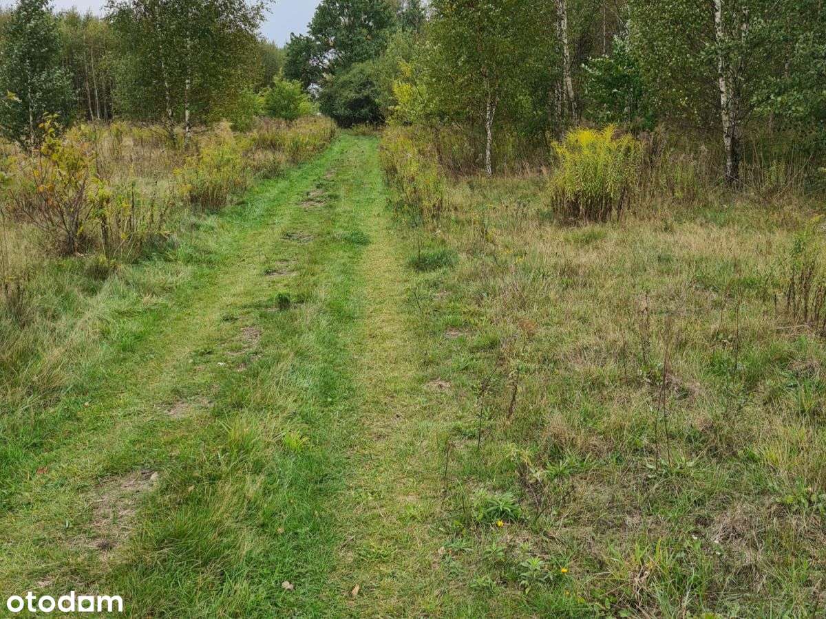 Działka w Wólce Grodziskiej 2, 4 HA - Pełny obrazek: 5/6