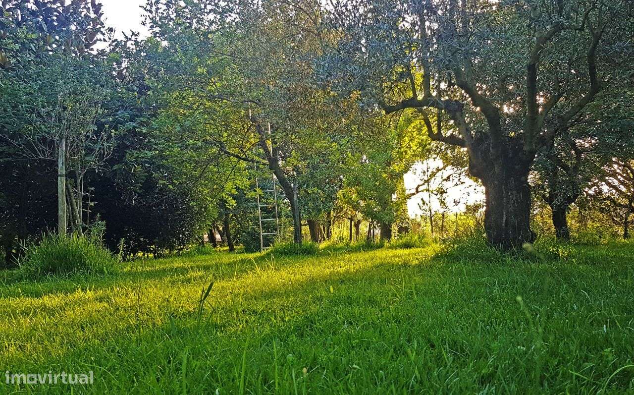 Moradia T5 perto de Coimbra-36