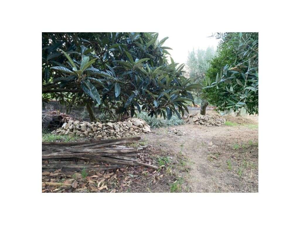 Moradia tipologia T2-43