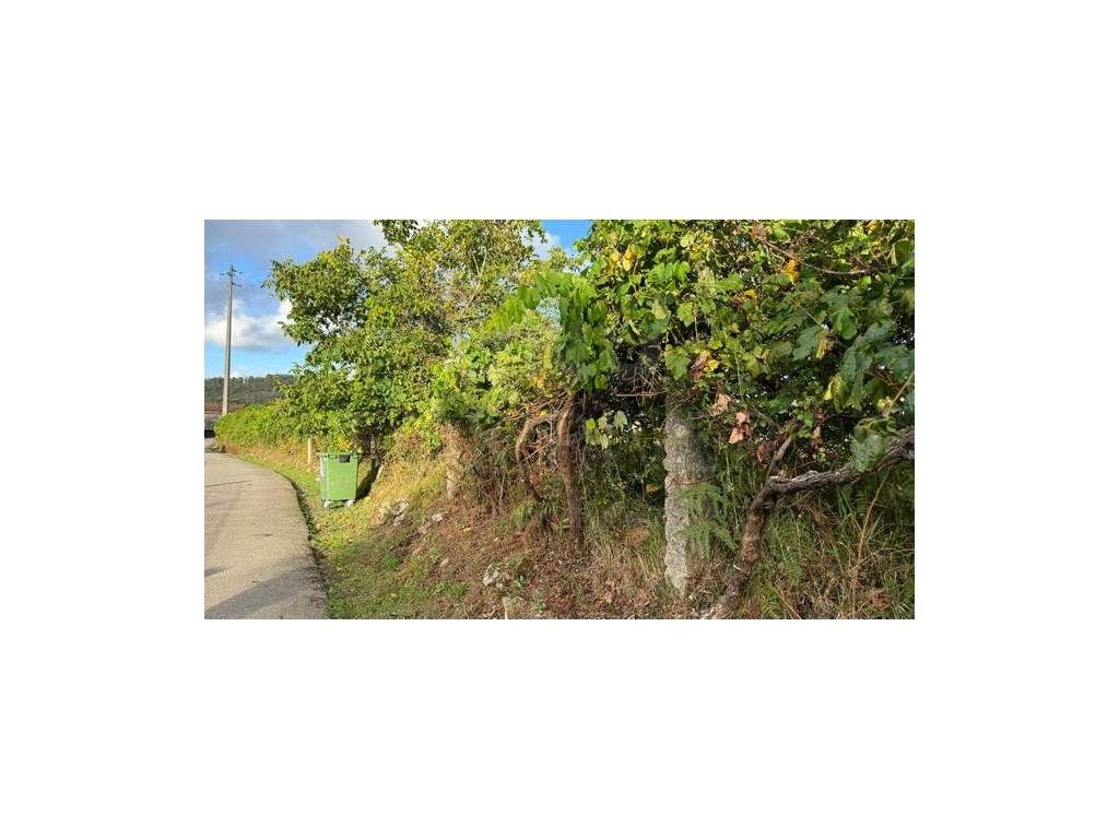 Terreno Urbanizável em Gondomil, Valença - Grande imagem: 4/9