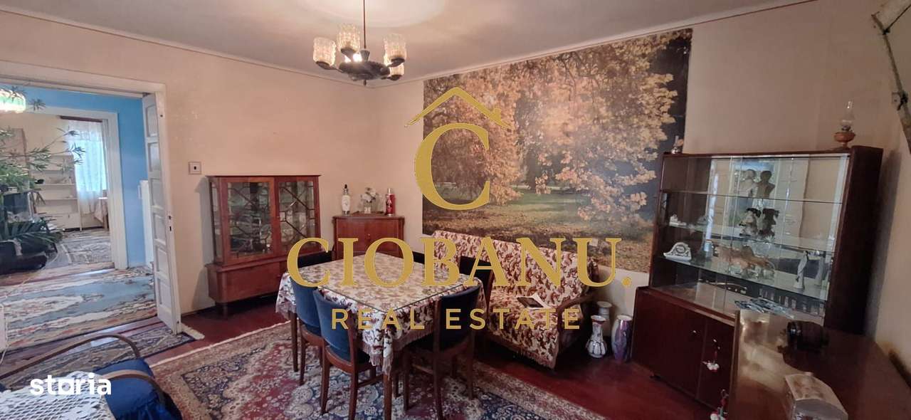 Casa de vanzare zona Campia Islaz - Imagine principală: 2/20