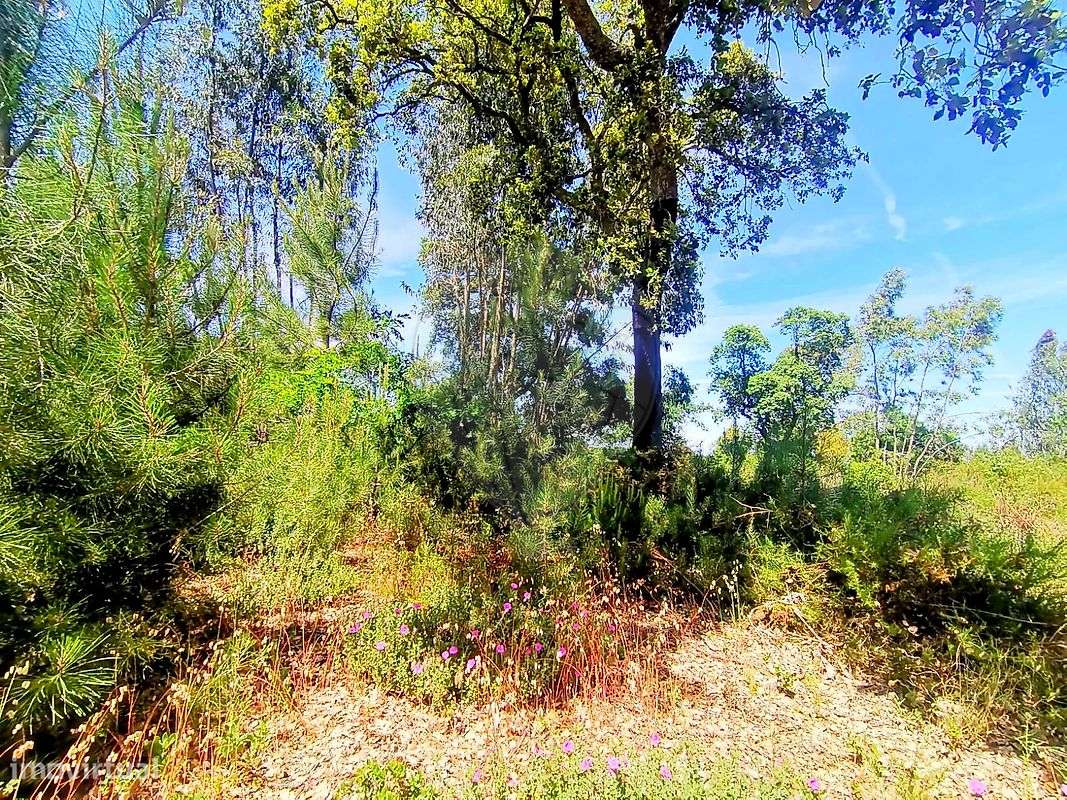 Terreno  para venda - Grande imagem: 5/12