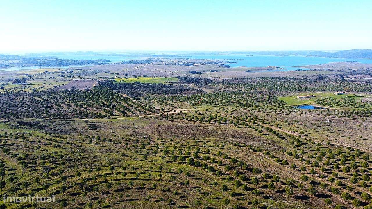 Herdade junto ao Lago de Alqueva - Mourão-6
