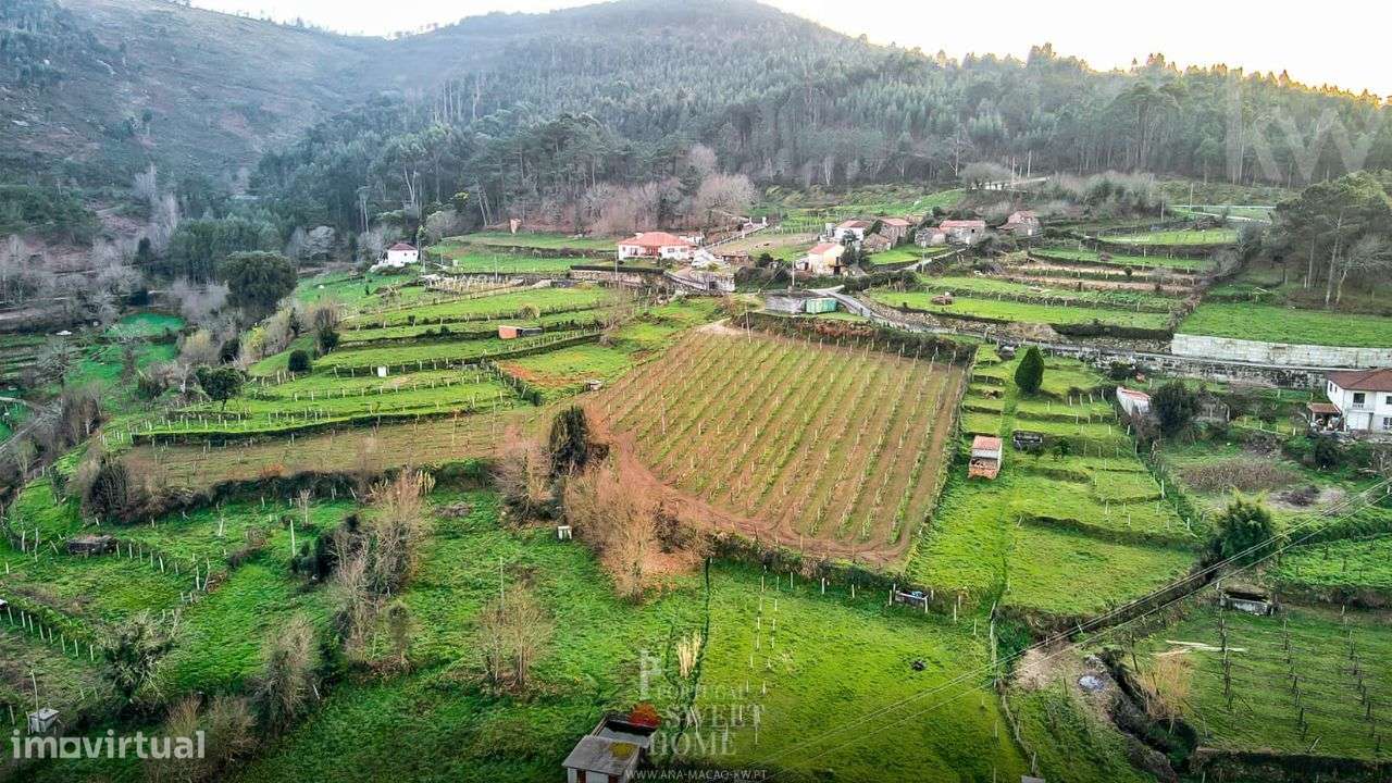 Quinta T4 em Melgaço (Chaviães e Paços), para recuperar-51