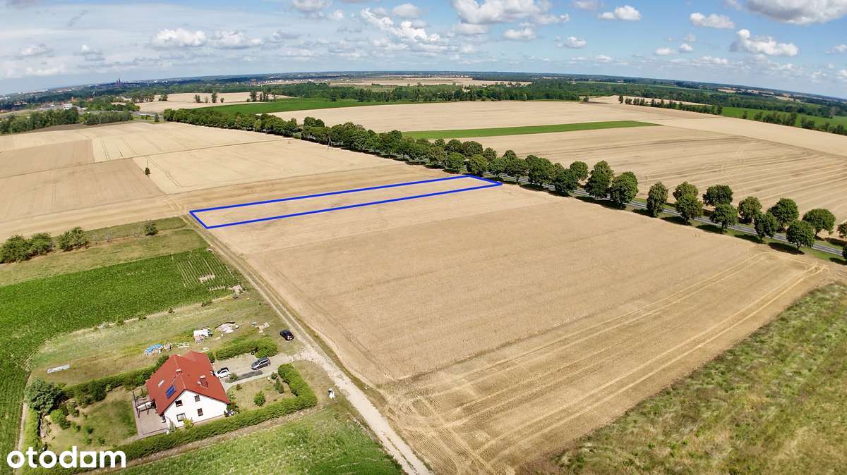 Atrakcyjna działka pod zabudowę jednorodzinną!!! Zobacz film!!! - Pełny obrazek: 3/7