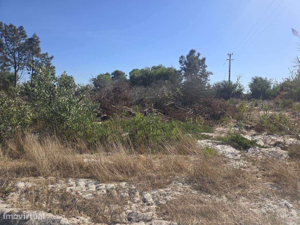 Terreno Rústico - Grande imagem: 5/5