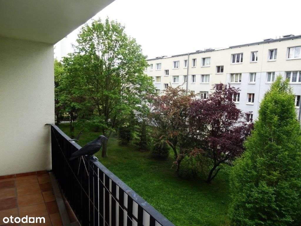 Mieszkanie na sprzedaż Rataje-3