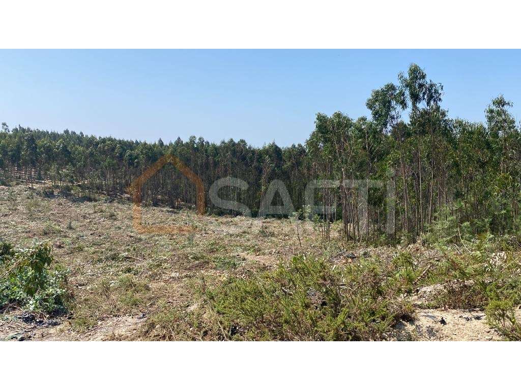 Terreno com aptidão Industrial à venda em Casal de Lobo, A Dos Cunh... - Grande imagem: 3/11