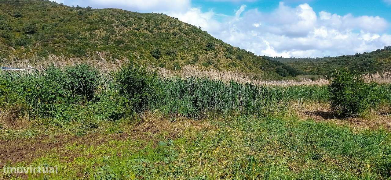 Terreno Rústico  Venda em Alcoutim e Pereiro,Alcoutim - Grande imagem: 5/57
