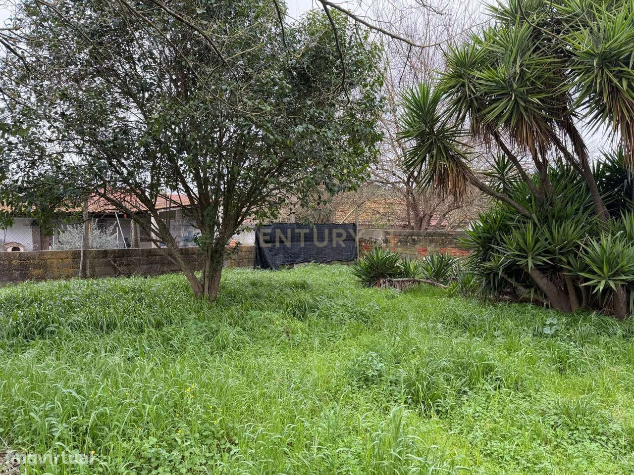 Encantadora Casa de Campo em Vale de Santarém-18