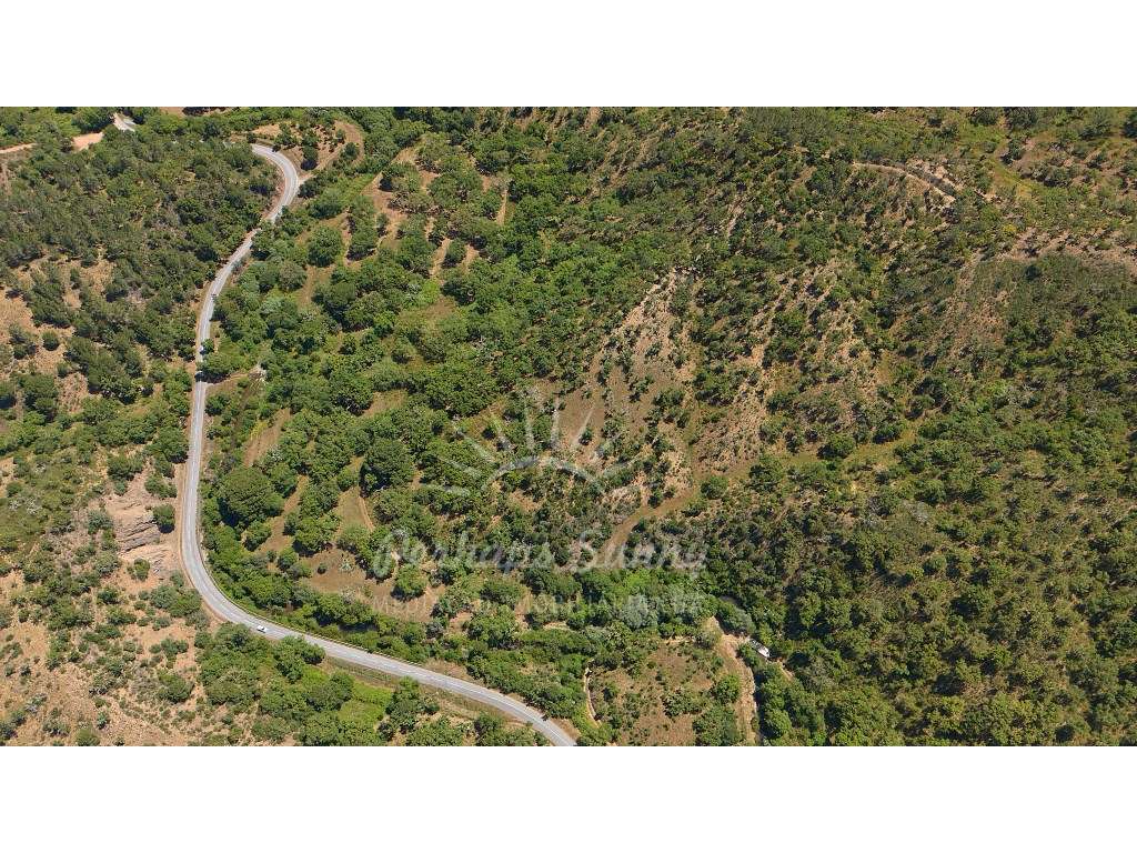 Propriedade Rústica de Montado com Ribeira | 22,6 Hectares | Serra ...-7
