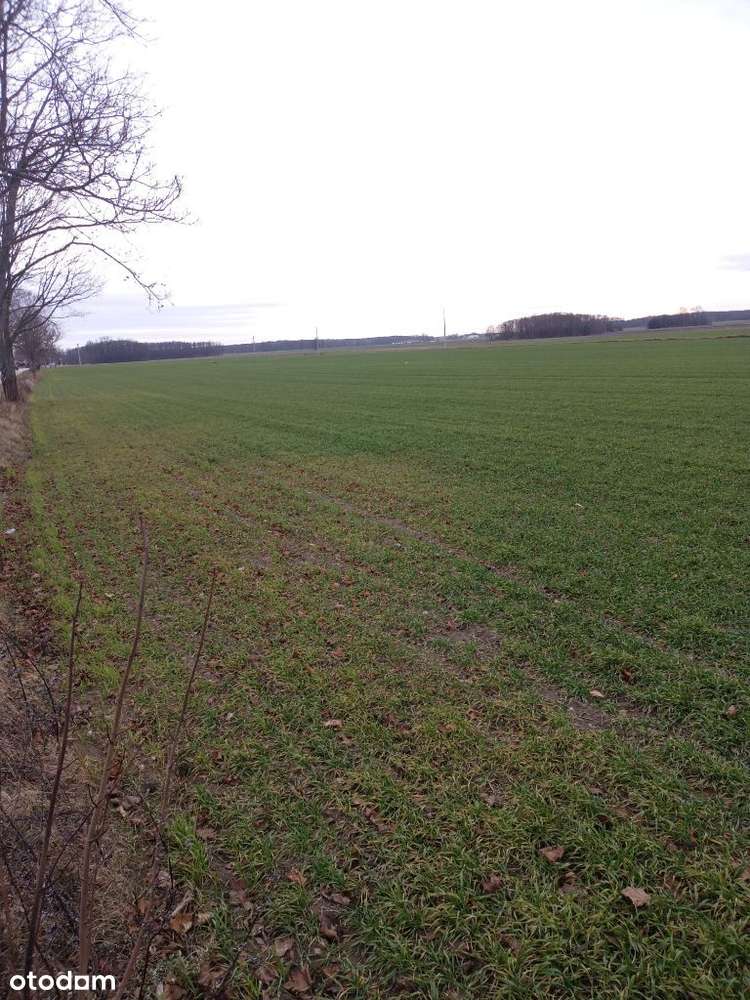 Sprzedam działki budowlane Winnica (uchwalony MPZP) - Pełny obrazek: 5/8