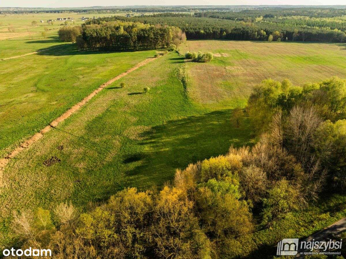 Grzepnica - Działka z wydanymi Wz z potencjałem - Pełny obrazek: 3/20