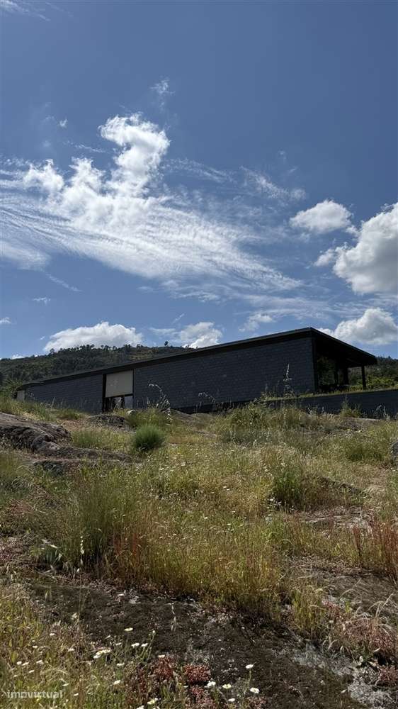 Moradia Isolada T3 Venda em Louriçal do Campo,Castelo Branco-7