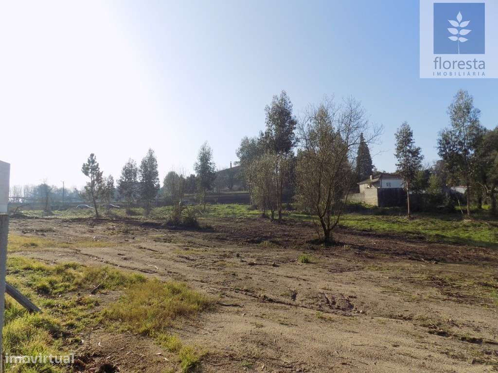 Terreno - Famalicão (Avidos) - Grande imagem: 4/19