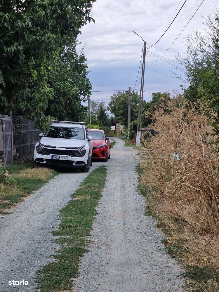 Teren intravilan Frumusani, utilitati gaz si curent, put, 1239 mp,-1