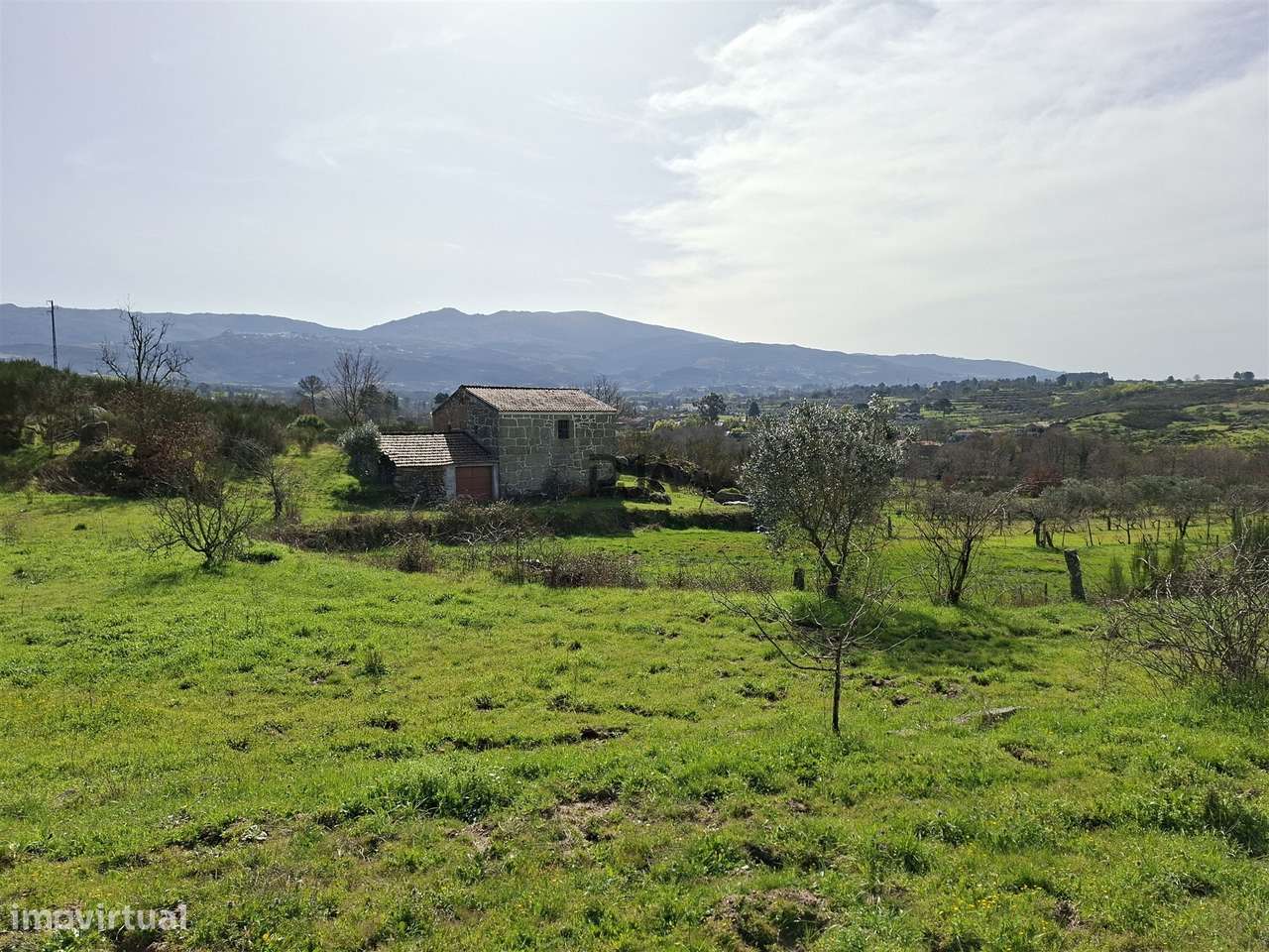 Quinta com 2Ha em Vila Cortês da Serra, Gouveia-20