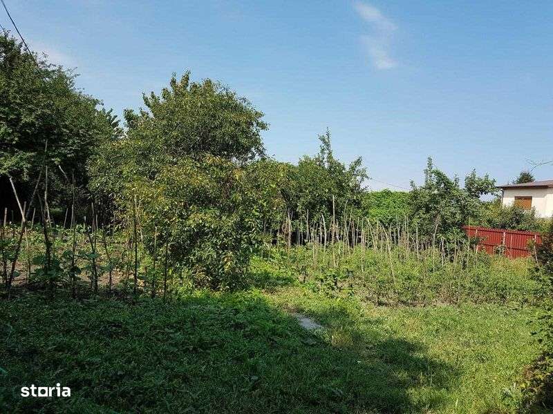 Casa si spatiu comercial Singureni - Imagine principală: 4/5