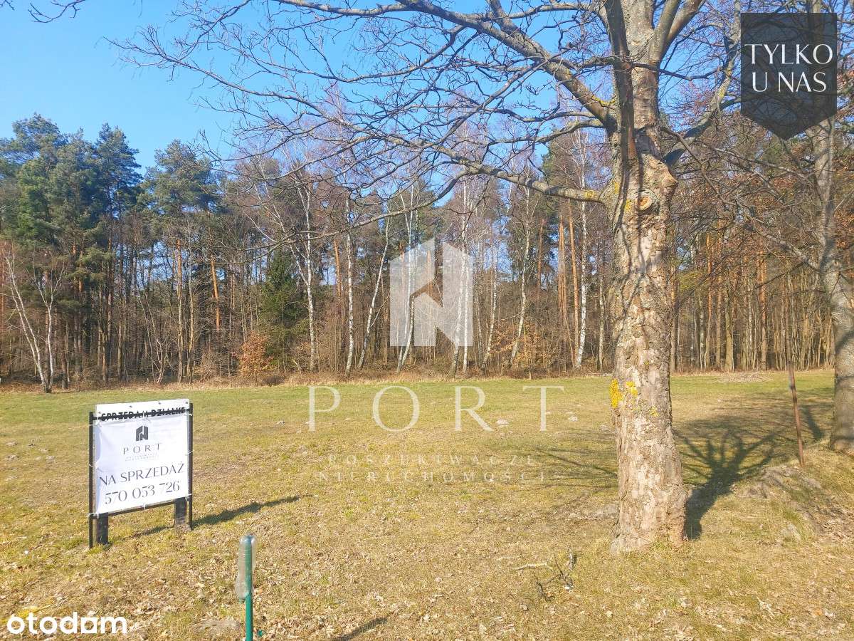 Działka 2622m2 Karwia / Parszczyce - Pełny obrazek: 5/9