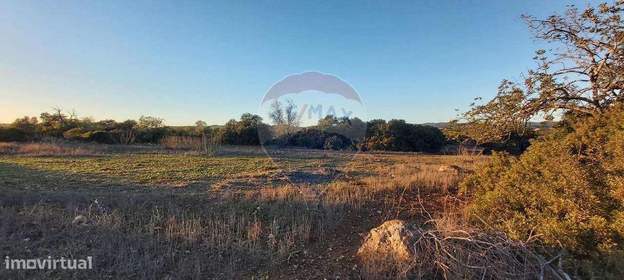 Terreno  para venda - Grande imagem: 5/7