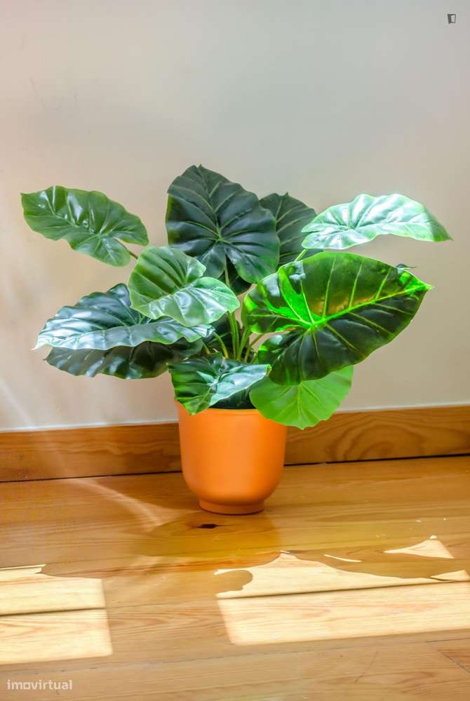 Apartamento com 2 quartos - localizado em Alfama Lisbon - Grande imagem: 2/6